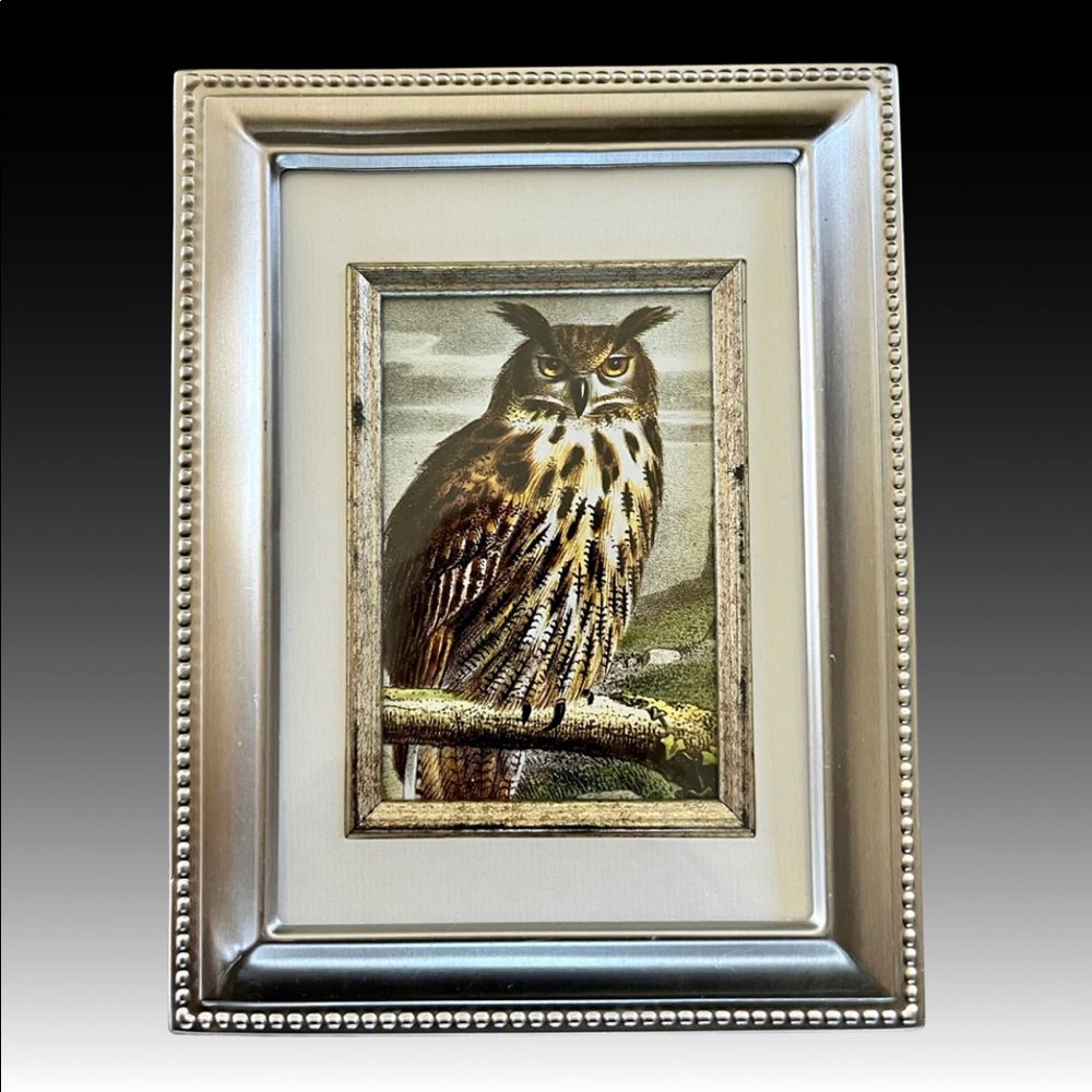 Vintage Horned Owl Print Framed Bird Picture Audubon Decor Wall or Table Art